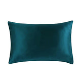 22 Momme Hidden Zipper Housewife Pillowcase - DIANASILK